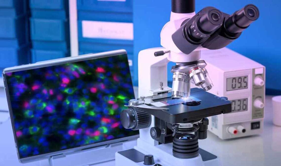How Fluorescence Microscopes Are Revolutionizing Medical Diagnostics