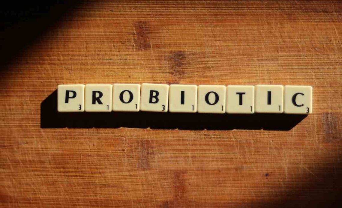 S Boulardii - The Travel-Ready Probiotic for Gut Resilience