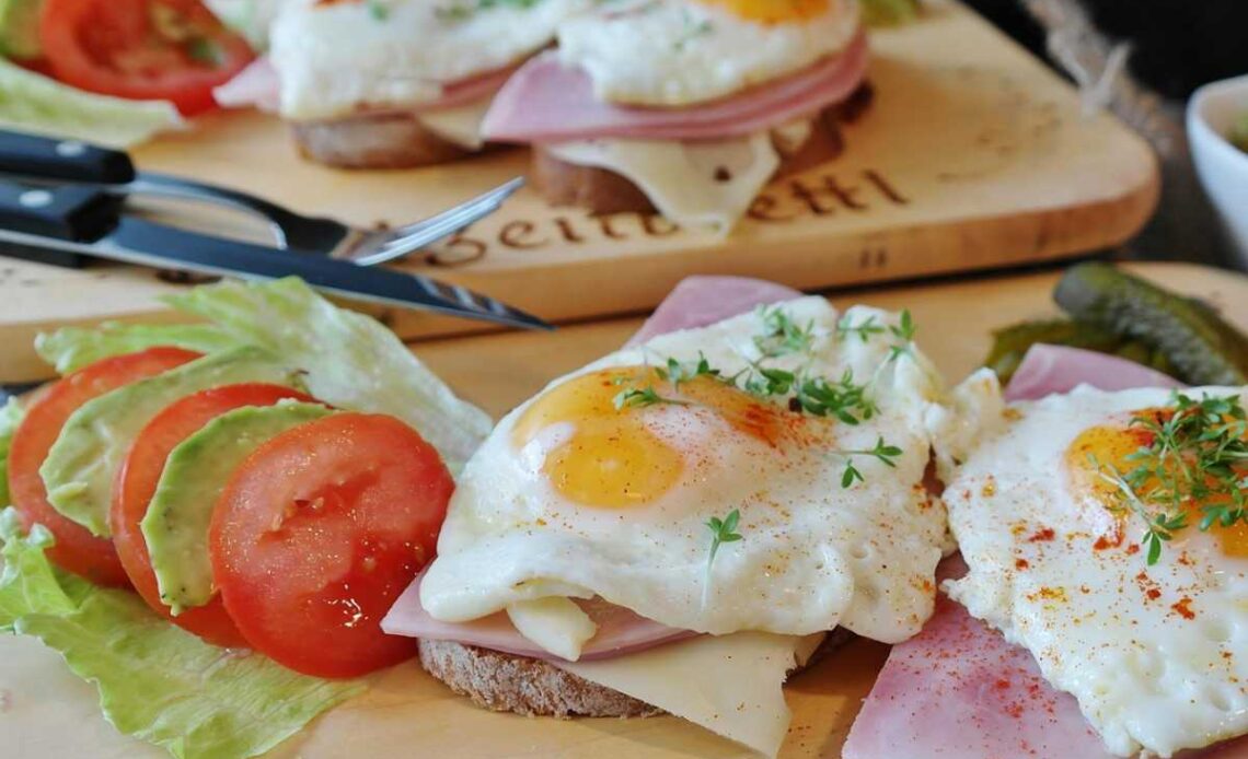 protein-forward meals