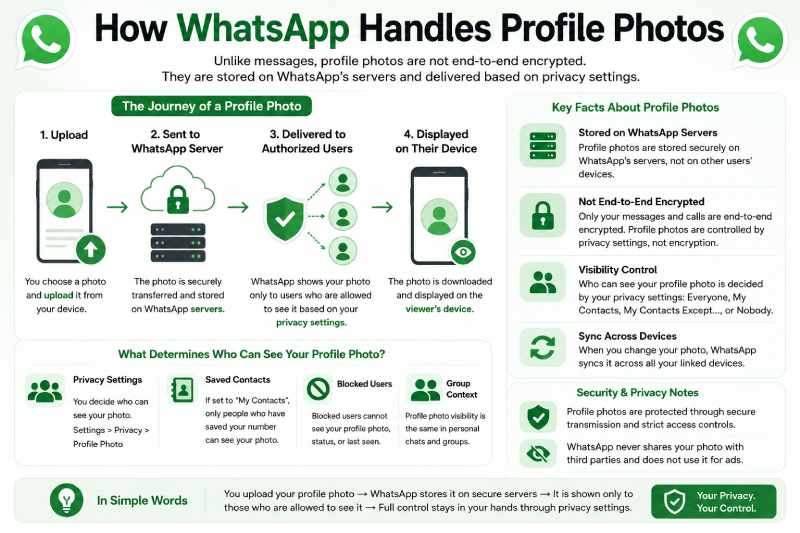 How WhatsApp Handles Profile Photos